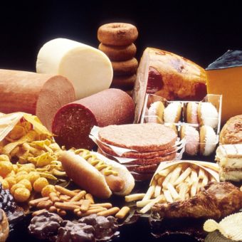 The Last Piece of the Puzzle – Diet